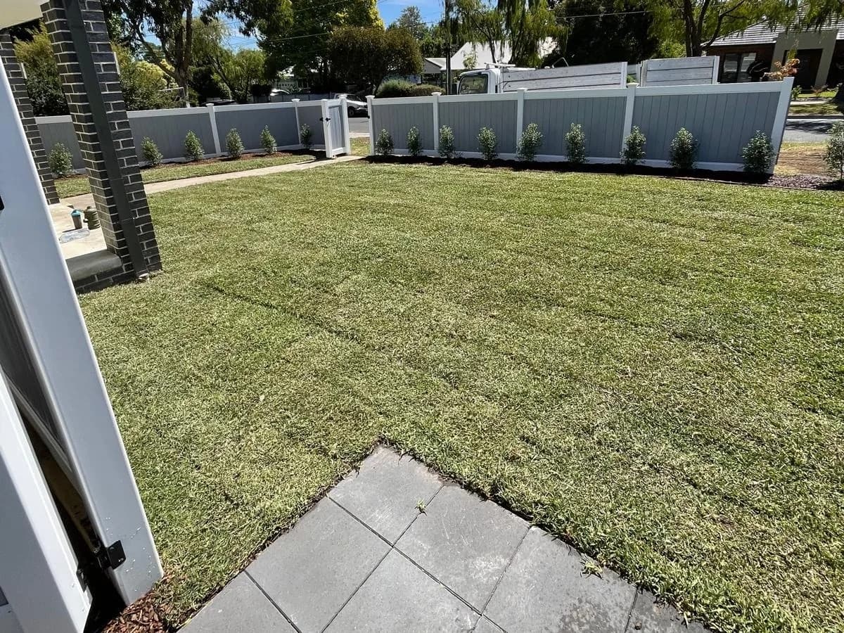 A newly turfed lawn enclosed by a white panel fence, with young shrubs planted along the fence line and a paved path at the near edge