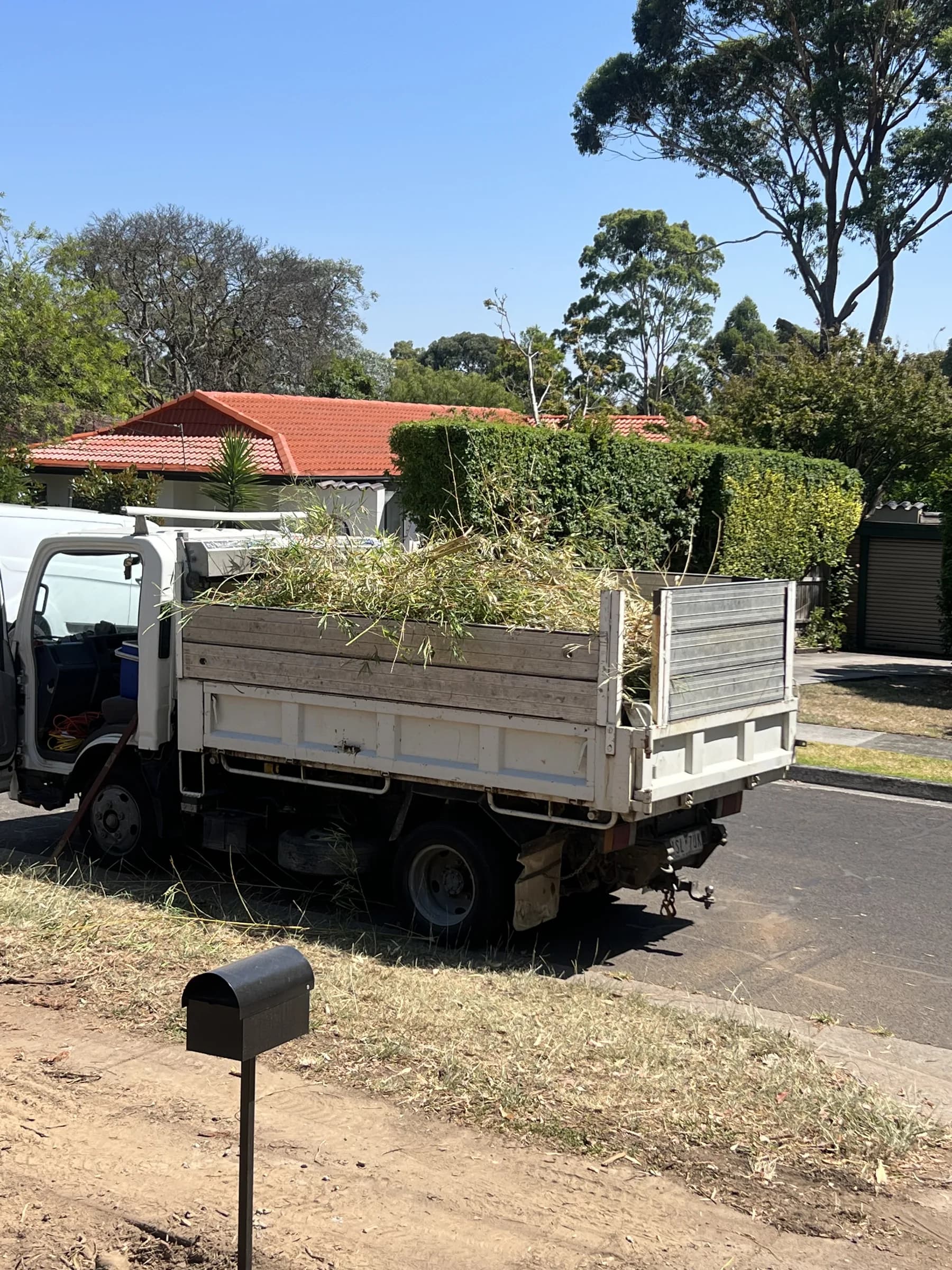 Regan's tipper truck heaped with cut bamboo, parked at the kerb beside a tall hedge