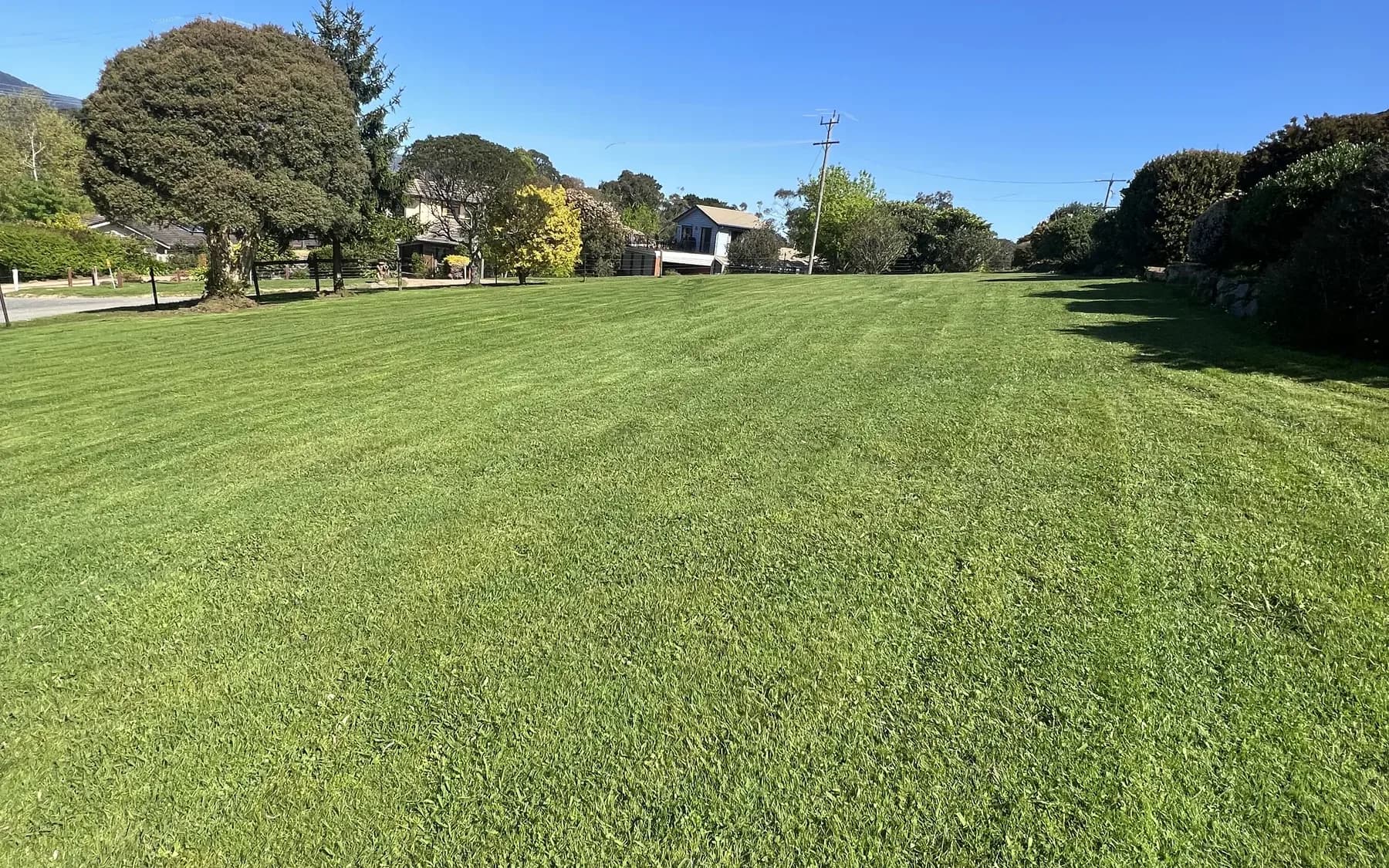 Large lawn freshly mown in stripes, with houses and trees along the far fence line