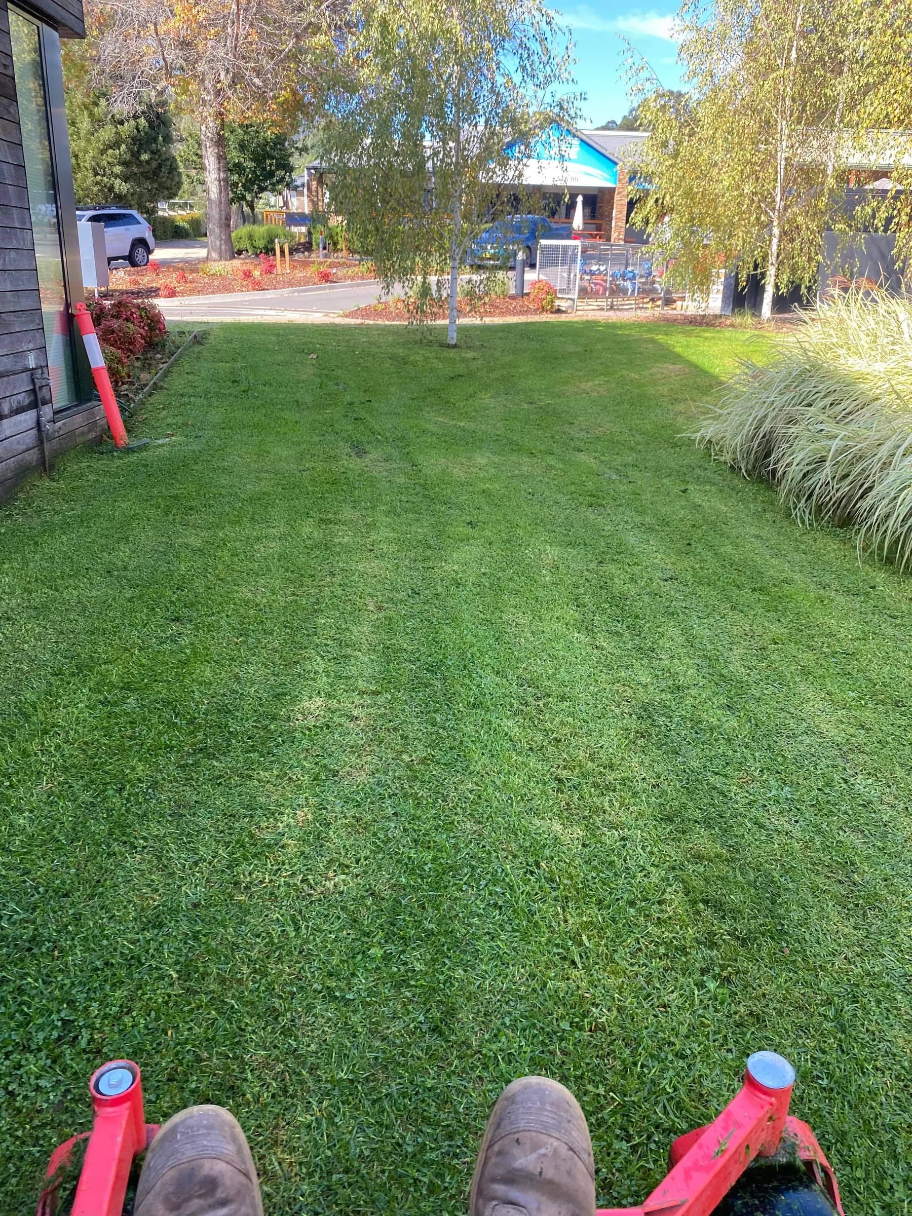 View from a ride-on mower across a freshly mown commercial lawn