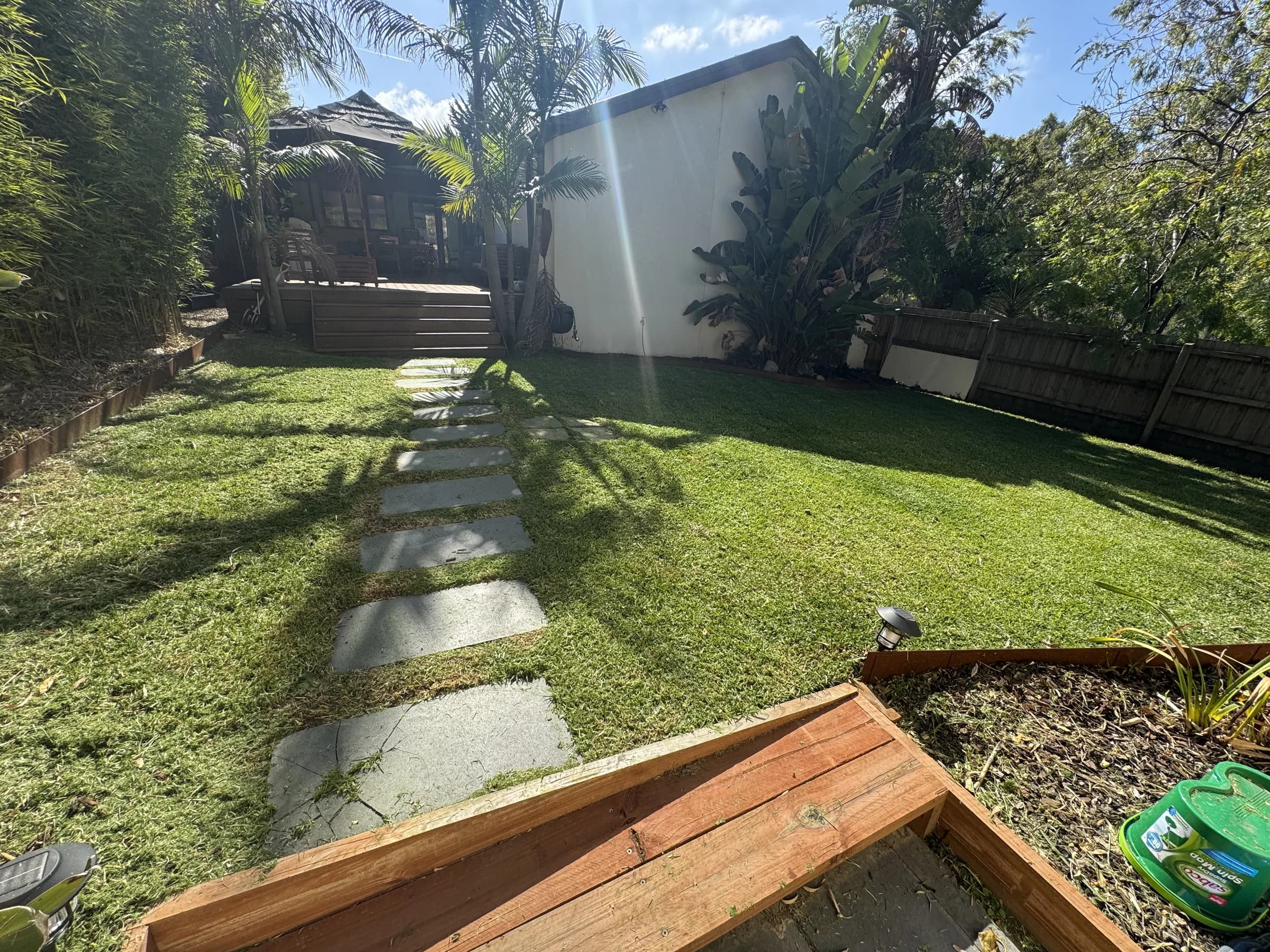 Backyard lawn mown around a stepping-stone path, with palms and a raised garden bed