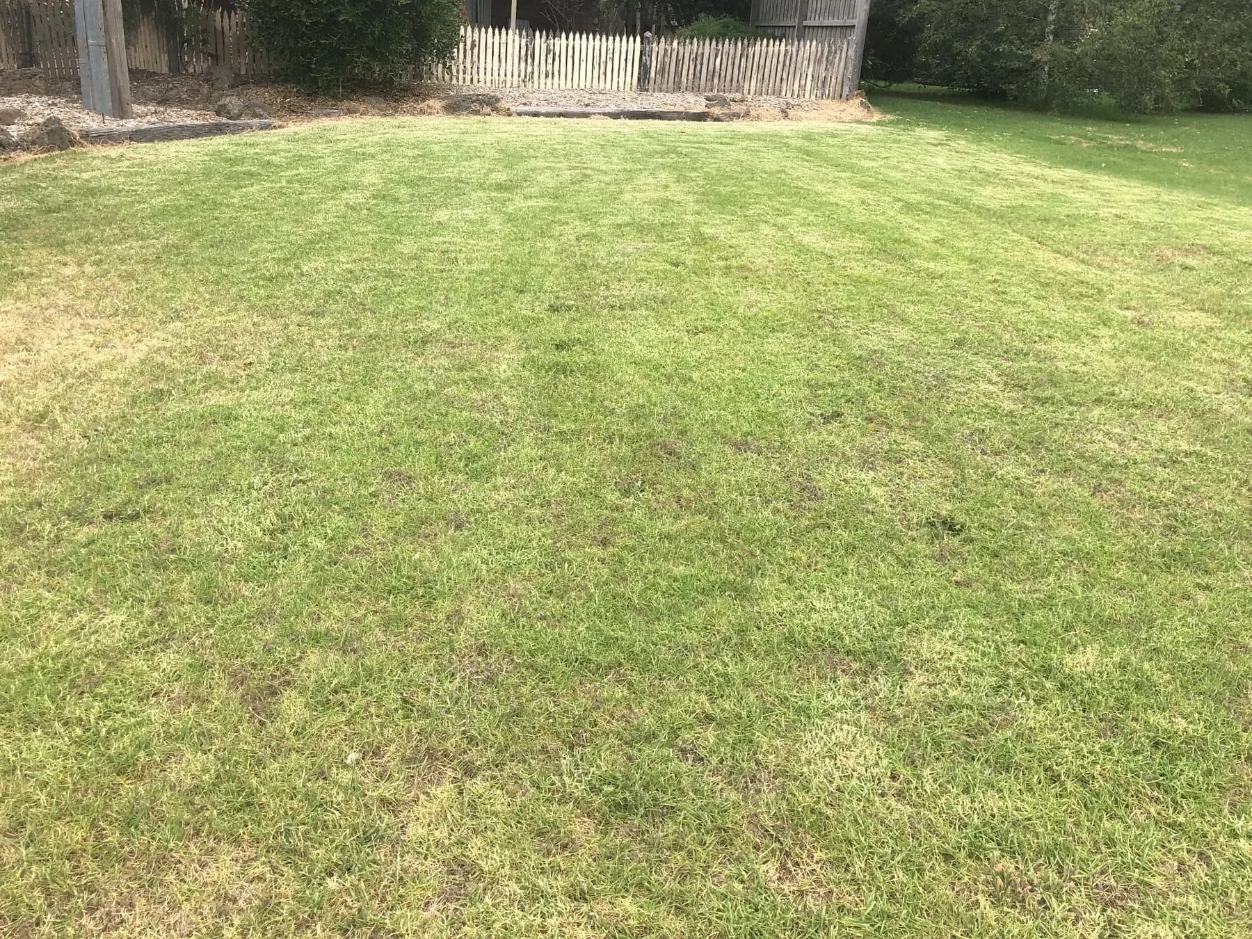 Large open lawn mown in stripes, with a white picket fence along the far boundary