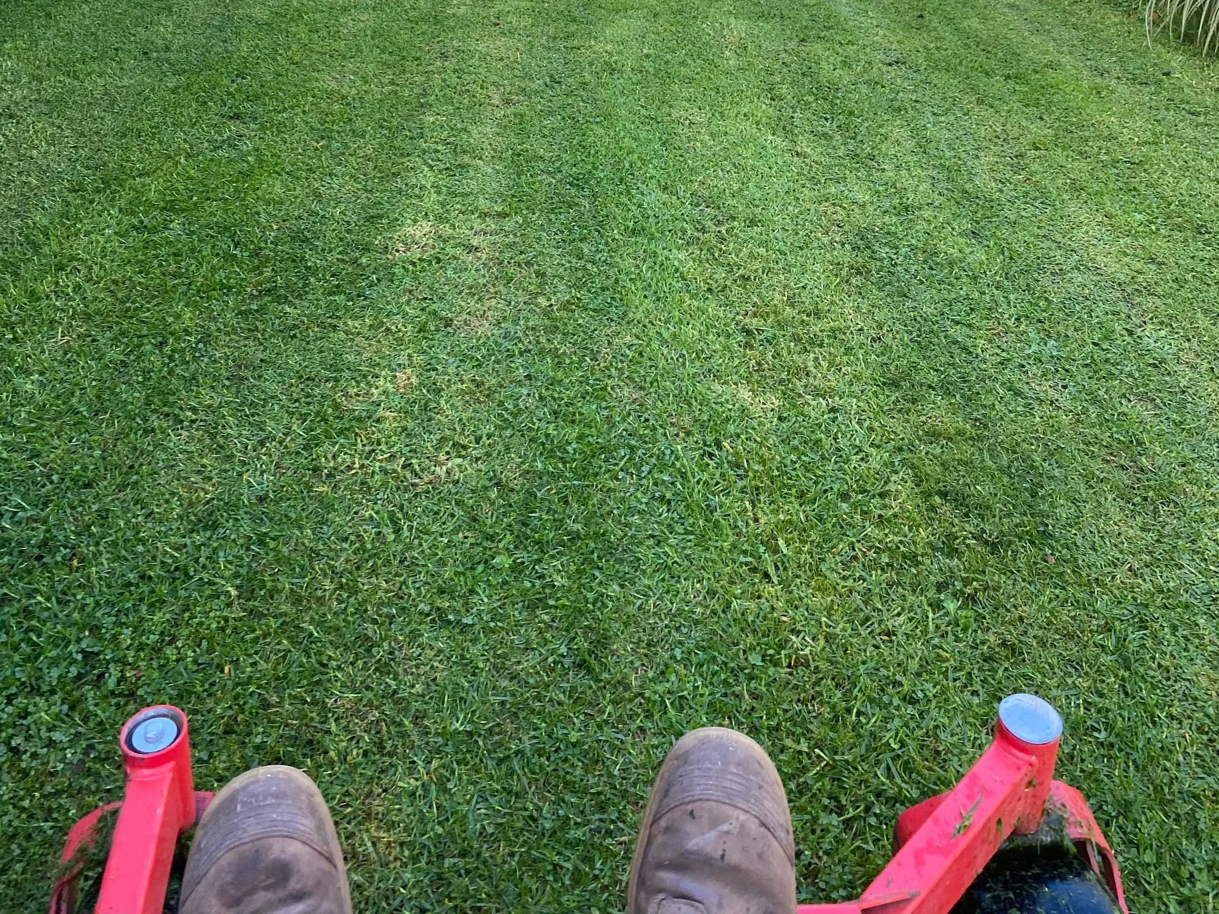 View from the mower seat across a freshly mown lawn, with the operator's boots on the mower footrests