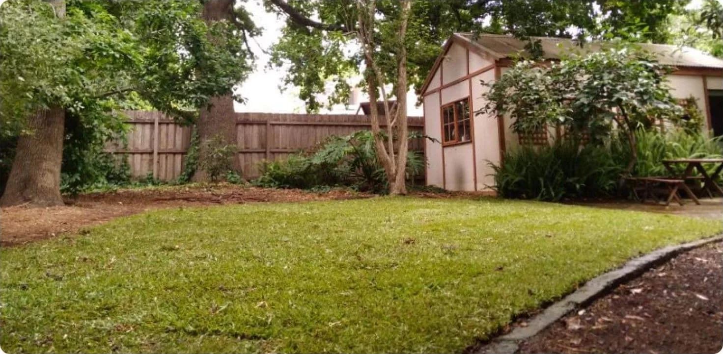 The same backyard laid with new lawn in front of a cream garden shed