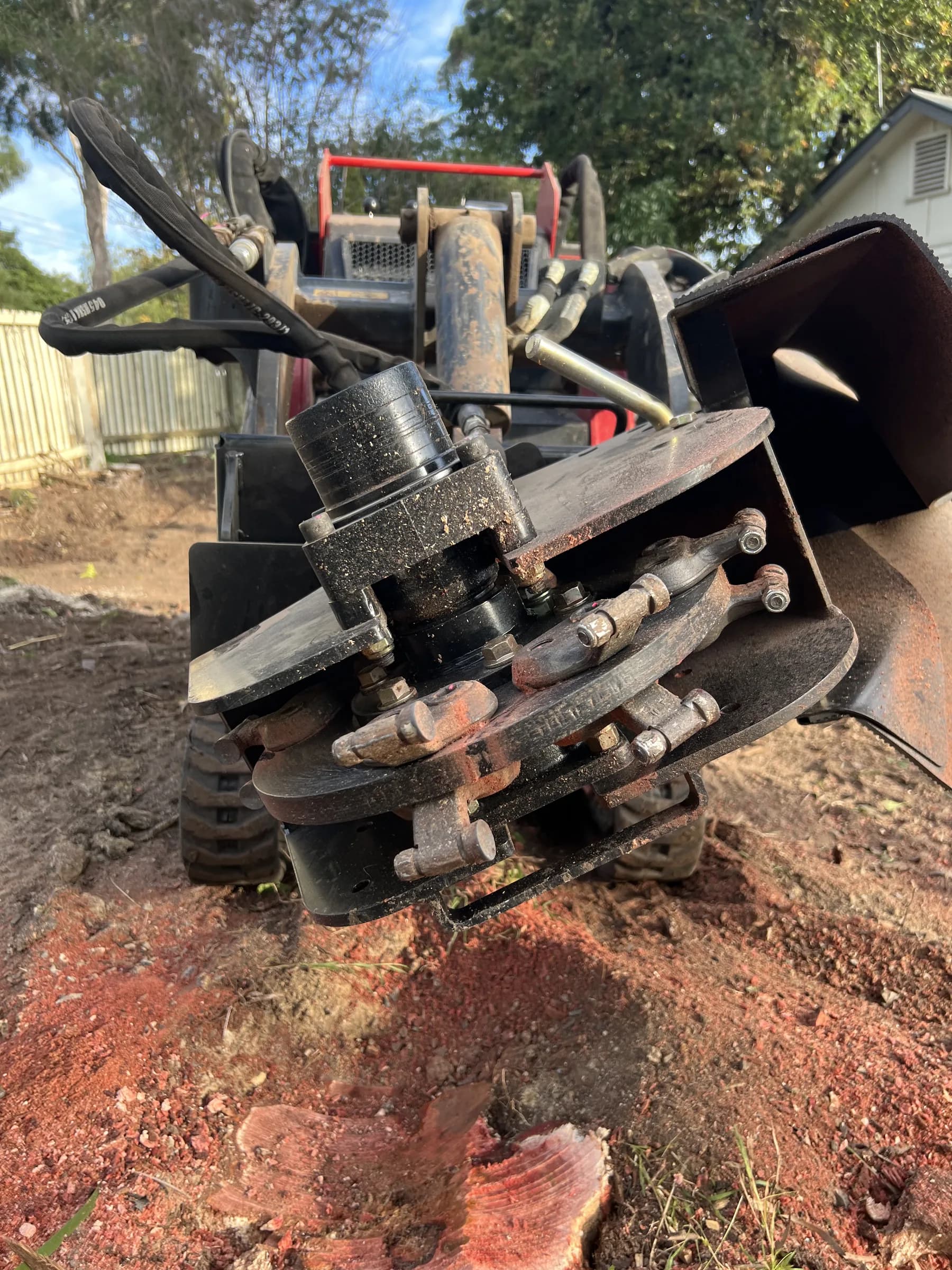 Stump grinder wheel cutting into a freshly felled stump