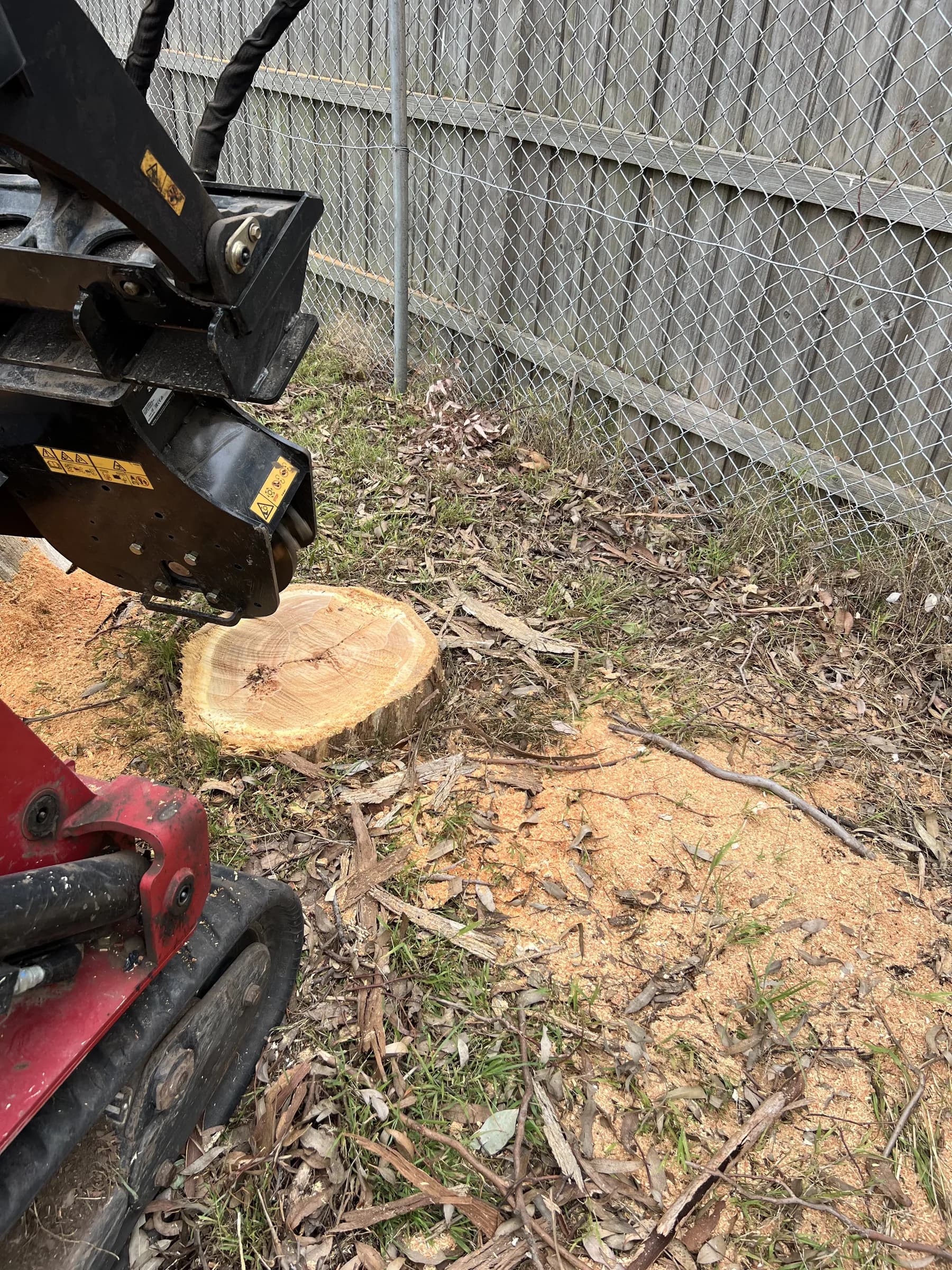 Stump grinder head beside a freshly cut stump and a bed of sawdust