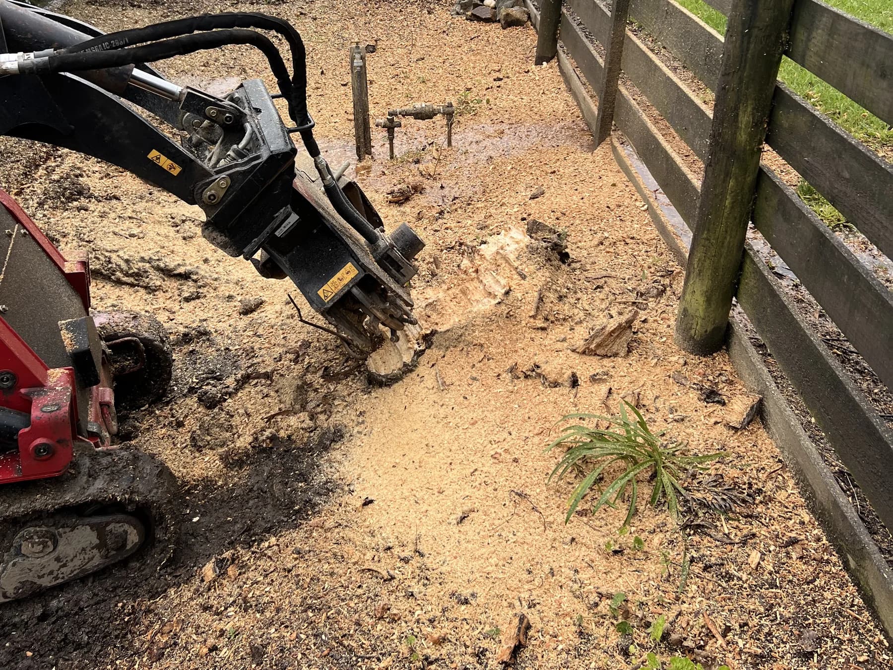 Stump grinder cutting wheel part-way through a stump, with ground mulch piled around it beside a post-and-rail fence